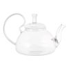 20 oz/600 ml Glass Teapot Removable Metal Spout Hanging Spring